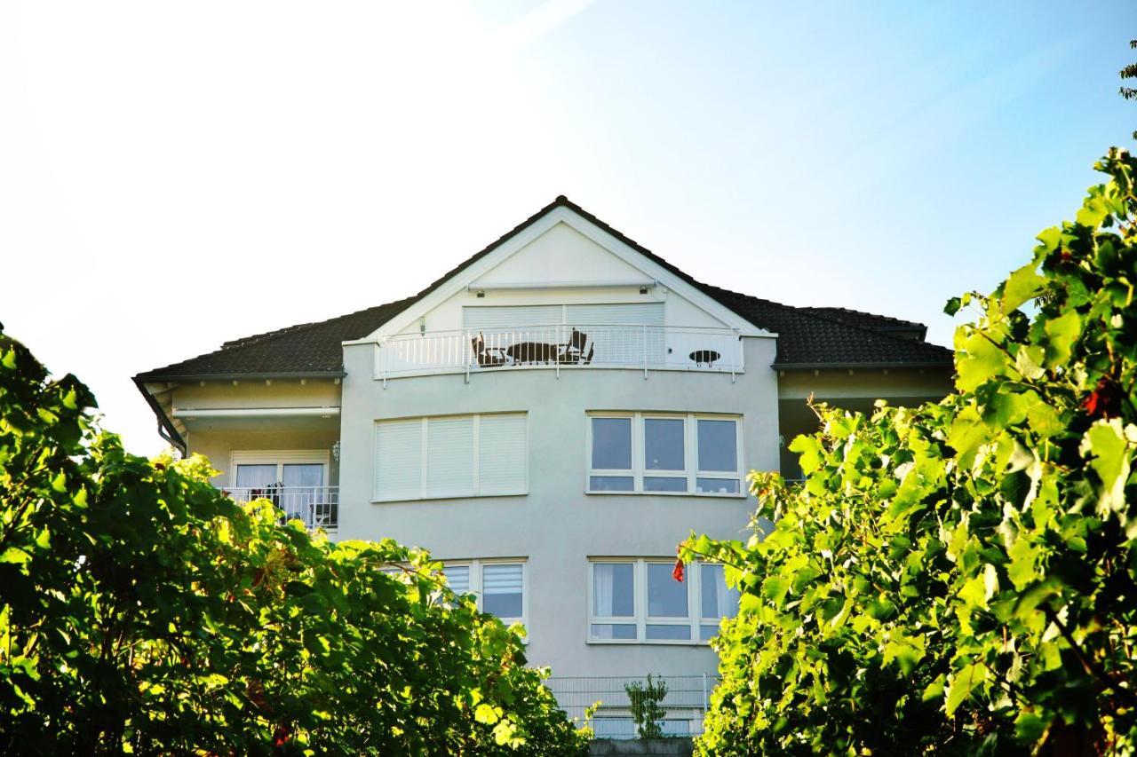 Panorama Traumblick Appartement Verbandsgemeinde Verbandsgemeinde Bernkastel-Kues Buitenkant foto